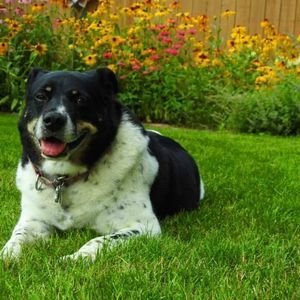 Meet your Posher, Jill